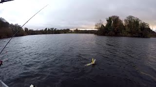 Pike fishing the local on a breezy evening [upl. by Namielus]