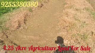 425 Acre Agriculture Land For Sale in Haryana  9255380380  farming [upl. by Nitin]