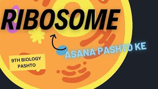 Ribosome  Class 9th Biology In Pashto  Basharat Ali Lectures [upl. by Lasser414]