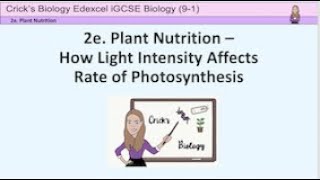 Light intensity and rate of photosynthesis practical cricksbiology teaching [upl. by Atiluap]