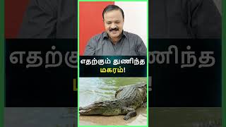 எதற்கும் துணிந்த மகரம் I I makaram rashi I rasi palangal I tamil astrology I [upl. by Kendry]