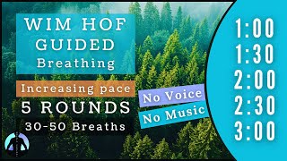 WIM HOF Guided Breathing  30 to 50 Breaths 5 Rounds Increasing Pace  To 300min No Voice No Music [upl. by Taimi]