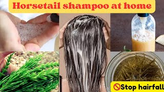 Horsetail for Hair Growth  Horsetail shampoo at home [upl. by Fosdick]