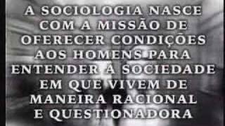 O que é sociologia [upl. by Adnorat]