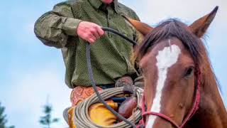 Evan Bonner Horsemanship  Clinics  Training Horses [upl. by Neelrahs]