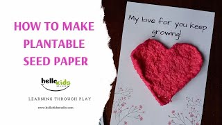 HOW TO MAKE SEED PAPER  Plantable seed paper hearts [upl. by Parent]