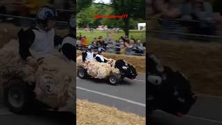 Red bull Soapbox racing 2024 [upl. by Ayenet532]