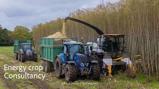 Energy Crops Consultancy Coppice Willow Harvest  Joe Cullen Photography [upl. by Atteloj]