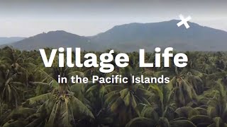 Village Life in the Pacific Islands [upl. by Leiahtan874]