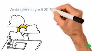 How Does Human Memory Work [upl. by Calypso]