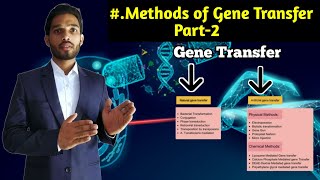 Methods of gene transfer Part2  Liposome mediated gene Transfer  BSc 2nd year Zoology 4rth Sem [upl. by Enehpets298]