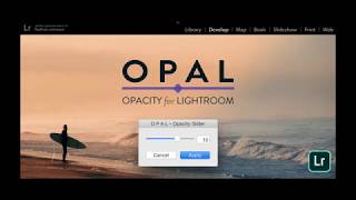 OPAL  the crazy good Opacity Slider for Lightroom Presets [upl. by Adnohsar]