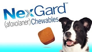 Nexgard Flea and Tick Chewable for Dogs by MerialFrontline Vet Labs [upl. by Aicatsue11]