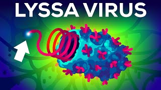 The Deadliest Virus on Earth [upl. by Yasu]