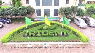 Trident Group Budhni Plant Walkthrough [upl. by Tallie]