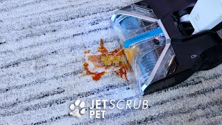 JetScrub™ Pet Carpet Cleaner [upl. by Asteria]