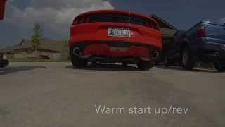 2015 Mustang GT Corsa Sport Catback [upl. by Rickard]