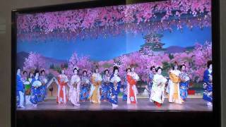 Maiko Geisha Exhibition Kyoto Gion Corner 祇園 舞妓 都をどりもwmv [upl. by Sufur]