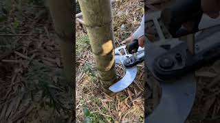 Bamboo Cutting Techniques bamboocutter youtubeshorts [upl. by Ellennej]