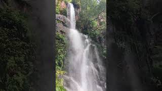 Talakona waterfalls in tirupati tirupati trending travel nature popular shorts [upl. by Alys602]