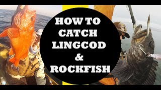 How to Catch Rockfish and Lingcod  Tips and Techniques [upl. by Raycher610]