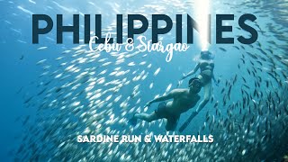 Philippines with 8 Miles from Home  Moalboal Sardine Run and Mantayupan Falls  Part 3 [upl. by Arnold]