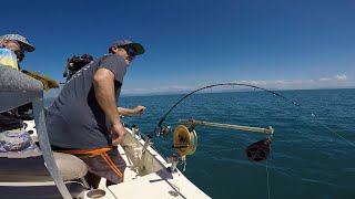 IFISH Hinchinbrook Island [upl. by Eggett64]