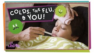 Colds the Flu and You [upl. by Anina]