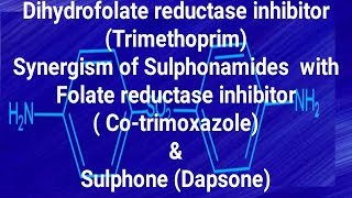 Trimethoprim Cotrimaxazole amp Dapsone [upl. by Elynad]