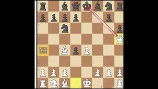 Scotch Gambit trap 1 chess chessgame [upl. by Kahle]