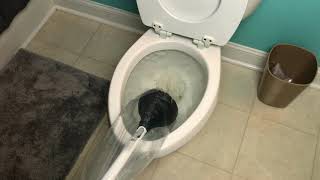 How to Unclog a Toilet without Making a Mess [upl. by Sheedy]