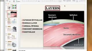 Anatomy of the cornea Microscopic [upl. by Gelman]