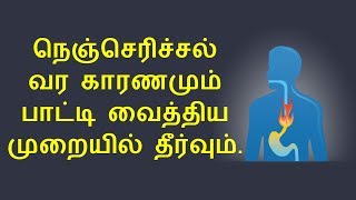 நெஞ்சு எரிச்சலுக்கு குட் பை  Home Remedies for Heartburn in Tamil  NV [upl. by Elladine]