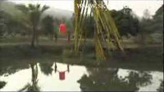 Orange Flying Chinese Lantern released in Thai countryside [upl. by Kennie159]