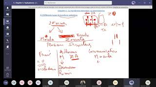 suite 14 biologie cellulairela membrane plasmiqueles différents types de jonctions cellulaires [upl. by Gilcrest]