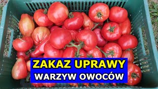 Czy będzie Zakaz Uprawy Warzyw i Owoców we Własnych Ogródkach Przydomowych Zielony Ład Ślad węglowy [upl. by Ennayt]