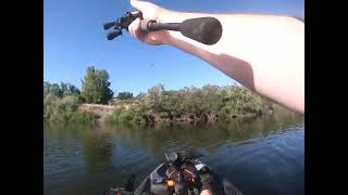 Umatilla River Kayak Bass Fishing [upl. by Atneuqal]