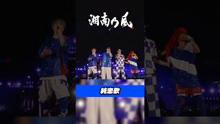 「純恋歌」この景色は最高！DVDampBluray 二十周年記念公演『風祭り at 横浜スタジアム』 湘南乃風 横浜スタジアム Live 純恋歌 shorts [upl. by Adelind]