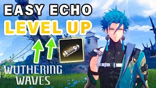 Get your ECHO Level Up EXP this week ► Wuthering Waves [upl. by Ahsiemak]