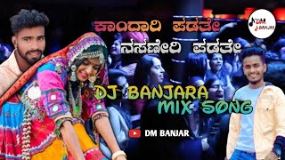 Kandari Padathe Nasaneri Padathe  Banjara DJ Song  CHS Banjar Govindraju DM Sunil BS [upl. by Nahgam]