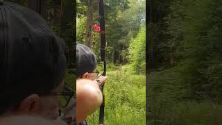 Bodnik Bowhunter Challenge UK  Extreme Shot Competition  Barebow Class [upl. by Ahsennod]