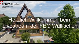 Gottesdienst FEG Wallisellen vom 3 November 2024 [upl. by Sedruol]