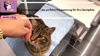 Katzenmassage  die perfekte Entspannung für Ihre Samtpfote [upl. by Anas414]