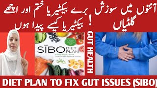 Cure SIBO In 2 Weeks Bloating amp Belly Pain Gone Weight Loss Diet Plan Gut Health Special Listen [upl. by Ahsinom48]