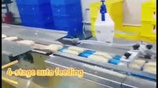 Instant noodles packaging machine Fast food packaging gold Horizontal packaging machine [upl. by Lihka]