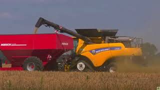 Harvesting barley in a large field  Modern agriculture [upl. by Nnyllaf]