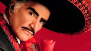 Perdon Madrecita Vicente Fernandez [upl. by Sorkin]