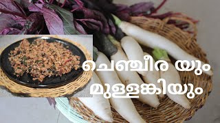 Radish spinach thoran  tasty stir fry recipe  Kerala style Radish Recipe for rice [upl. by Eisle]