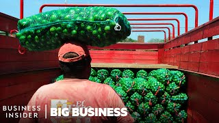 How Mexico Grows Limes On Orange Trees To Supply The US  Big Business  Business Insider [upl. by Woodman802]