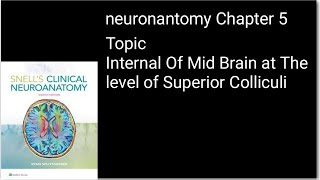 Internal structure of Mid Brain At superior ColliculiNeuroanatomyNeurosciences [upl. by Enawd]